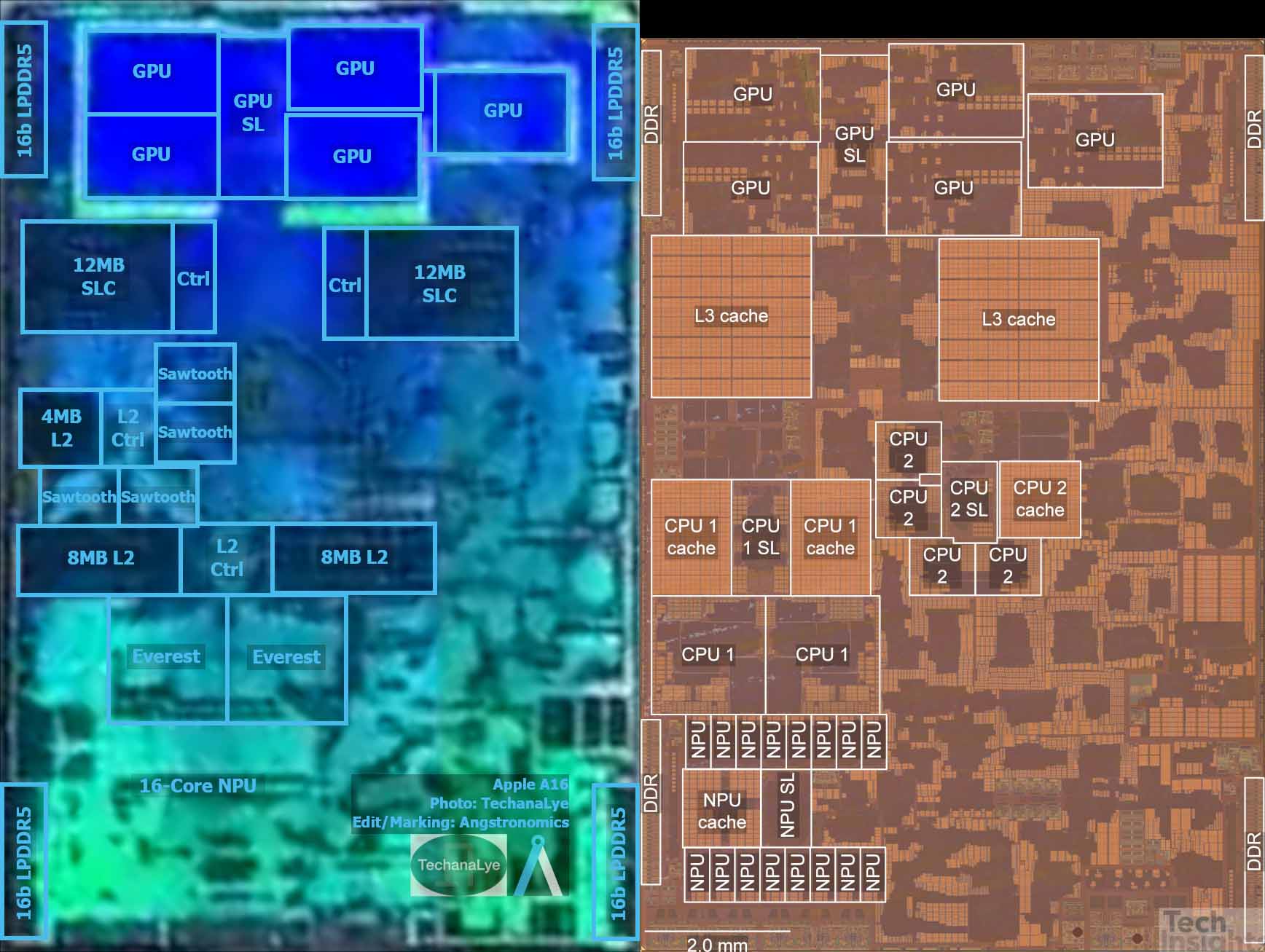 A16仿生芯片透视图：相比A15面积更大、性能核心二级缓存增加、GPU布局相同